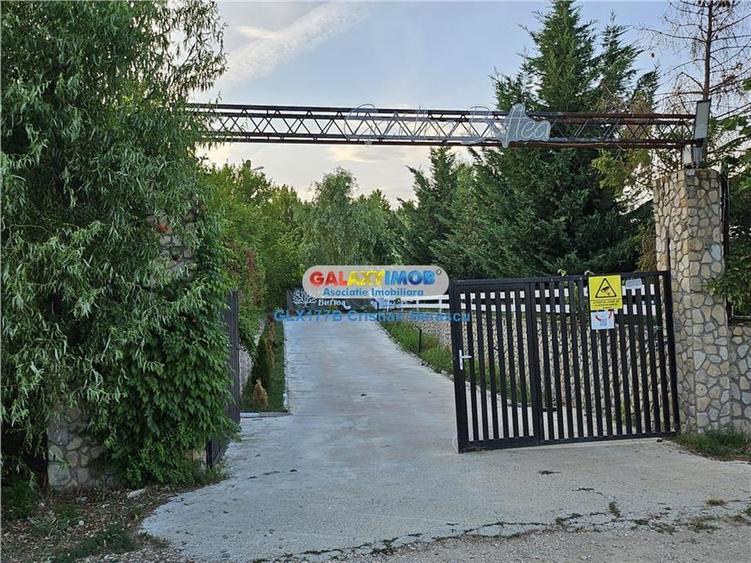 Buftea Flamanzeni 843 mp Str Independentei - 8