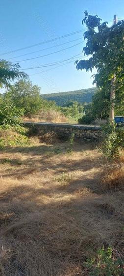 Teren 2093 mp in Slava Rusa - 5