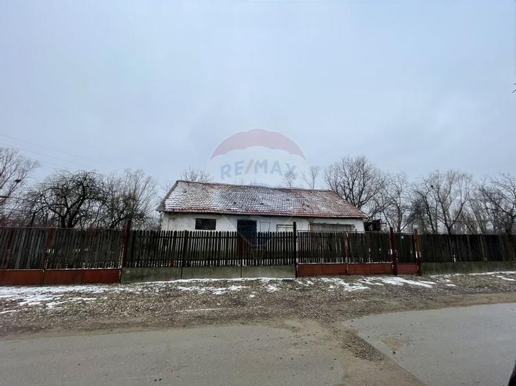 Oază de liniște în Nedelea: 1247 mp cu deschidere de 61 ml - 1