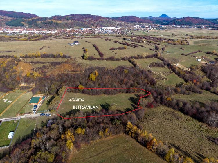 Teren intravilan 5723mp Zarnesti Tohanita- case de vacanta,investitie in turism - 1