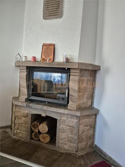 Casa Individuala Baia Sprie - 6