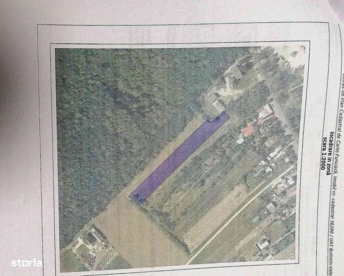 Teren intravilan,langa padure-4700m, Malu Spart- Bolintin Vale. - 3