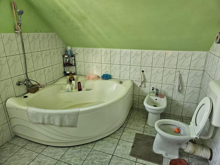 Casa mare de vanzare in loc. Cionchesti , comuna Viile Satu Mare - 3