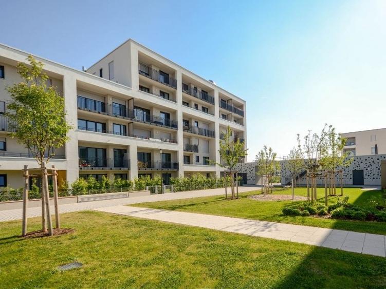 Teren Dezvoltare Rezidentiala -CU 2023, P+4, CUT 2.5 - Metrou - 3