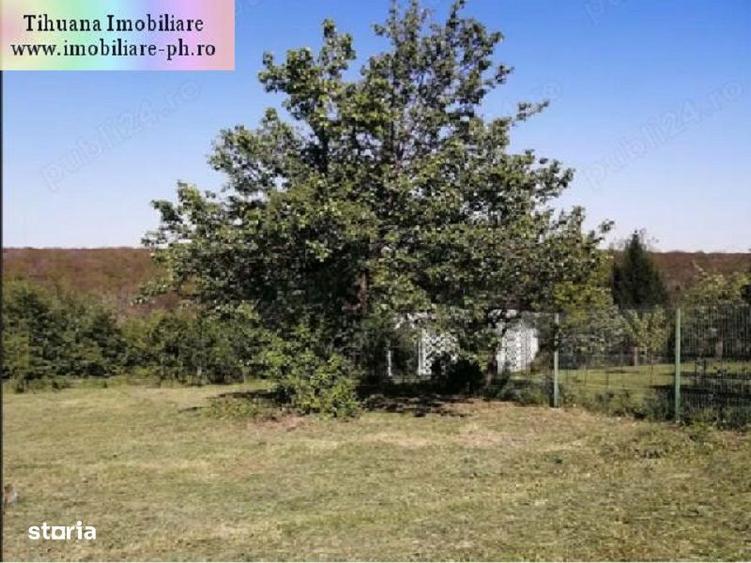 Teren de vanzare - Cocosesti(com. Paulesti) - 3