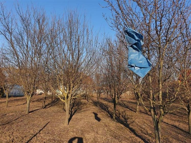 RECO Teren Santandrei 2000mp - 2