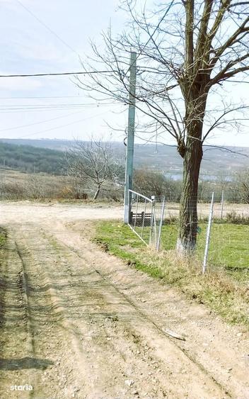 Aroneanu-Teren 1353mp intravilan la 350m de strada principala - 5