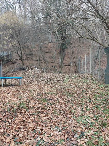 Casa de vacanta/rezidential - 7