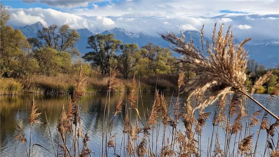 Ocazie!Oaza de liniste in satul Colun,cu 572mp ,la 40km de Sibiu - 35