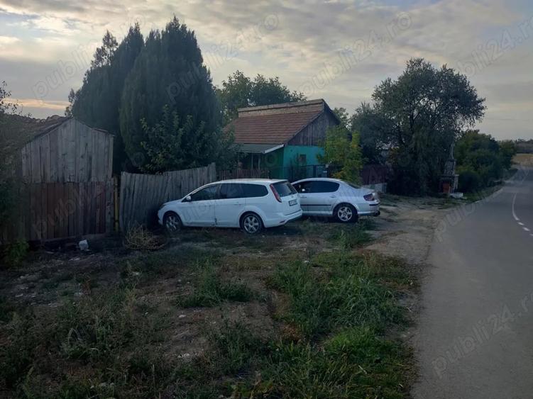 Casa cu teren 2200 mp si hala noua de 154 mp in localitatea Bodrogu Nou la 10 km de Arad - 2