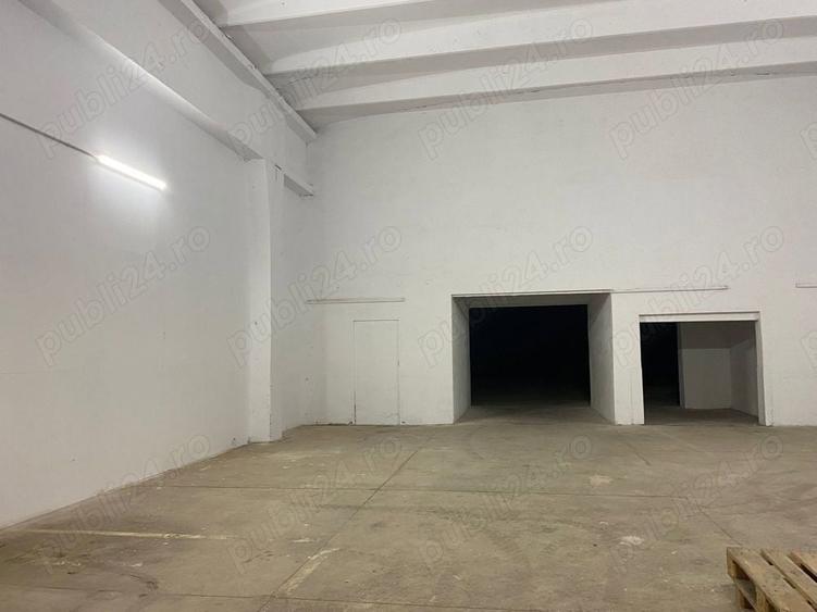 Spatiu SAD, Hala, depozit, Calea Aradului 246 - 486 mp - 6