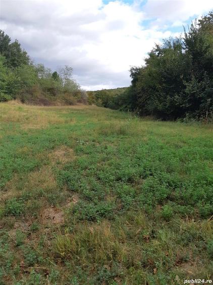 Casa de vanzare plus teren in comuna Podu Turcului, judetul Bacau - 2