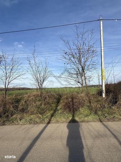 Aroneanu TEREN 14400mp intravilan cu utilitati zona construibila - 7