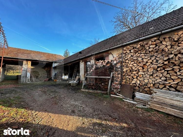 Casa cu 4 camere,baie, bucatarie,anexe.pivnita teren 2500 mp - 6