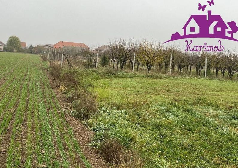 Parcela de teren Nojorid - 1