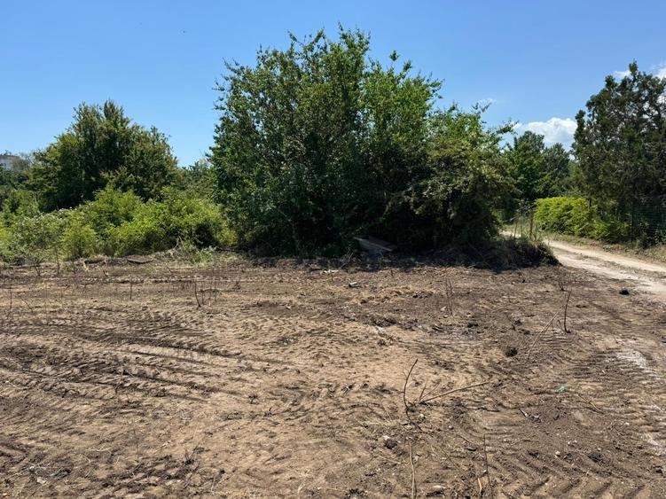 Venus - Cap Aurora - teren intravilan PUZ P+4 - 1