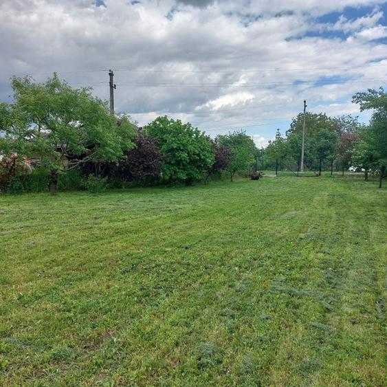 Teren intravilan - 5