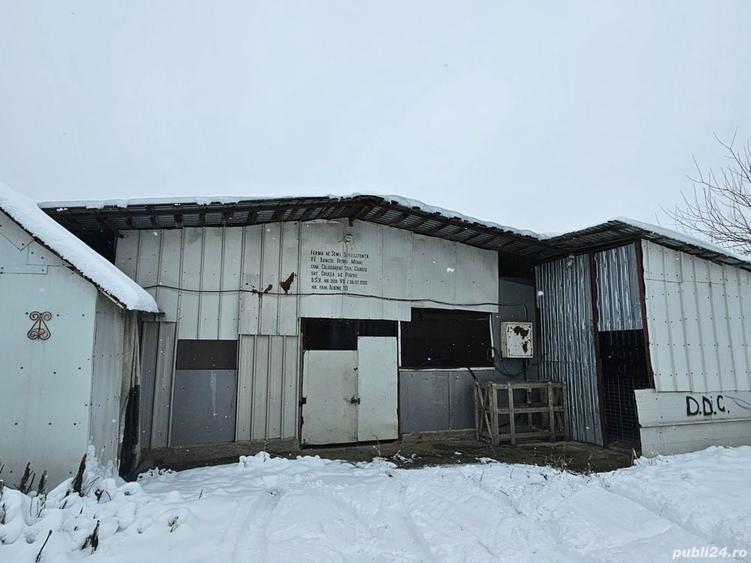 Ferma Calugareni 11860 mp 100 000 Euro - 1