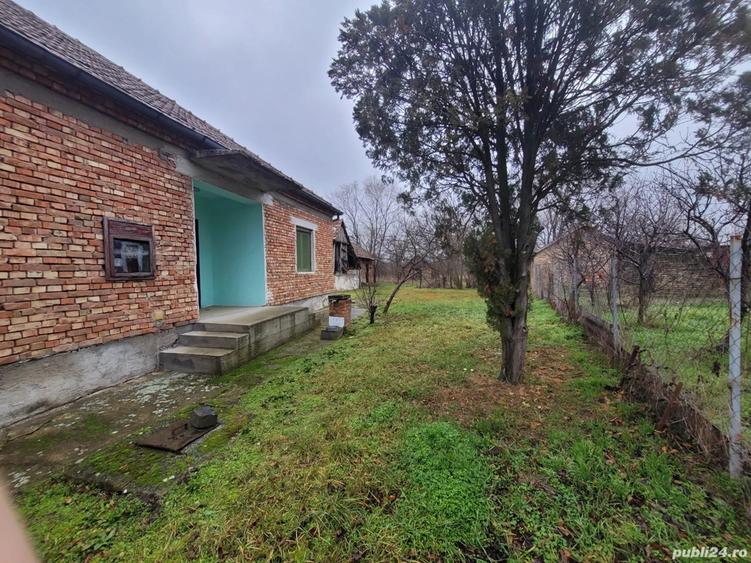 Vand casa in serbia jasa tomic - 8