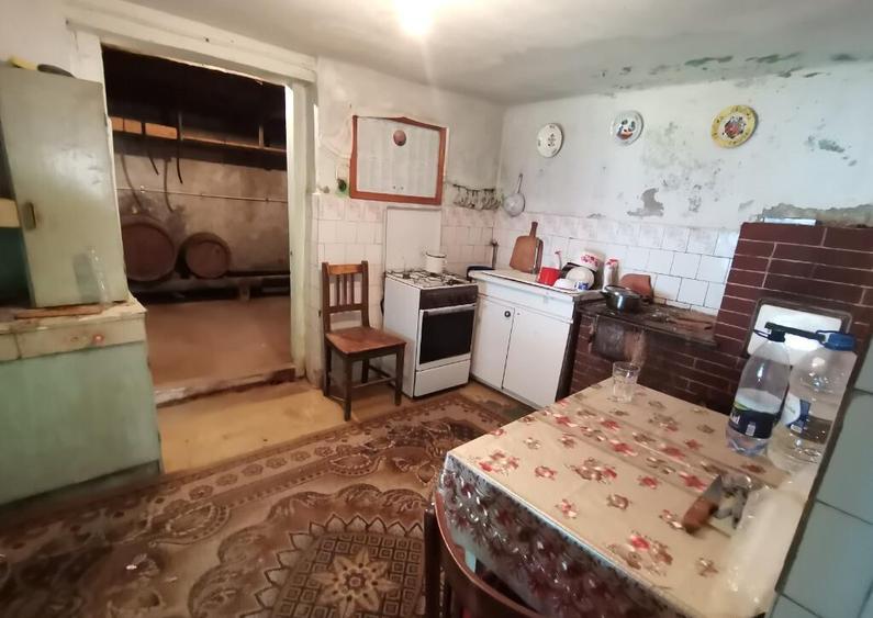 VAND CASA 4 camere ,curte si gradina de 536 mp,sat.Rod - 9