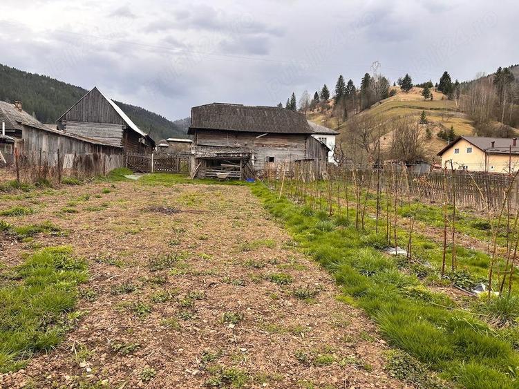 Vand casa si teren la munte. - 7