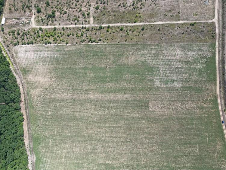 Teren intravilan langa padure Corbeanca Park - 1