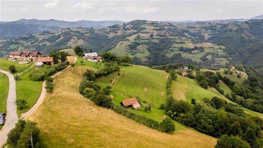 Proprietate + teren 10.400 mp incantoare pozitionare, Poiana Marului, Brasov - 12