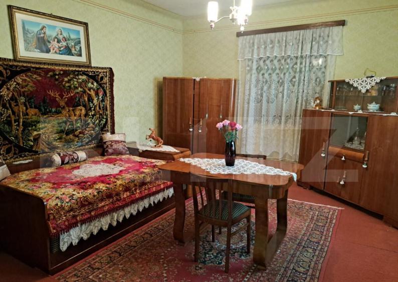 Casa individuala de vanzare in satul Zizin, jude?ul Bra - 16