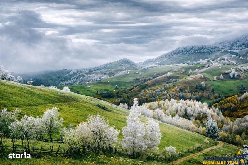 Pensiune resedinta, cu 1.000 mp teren, Pestera, Brasov - 8