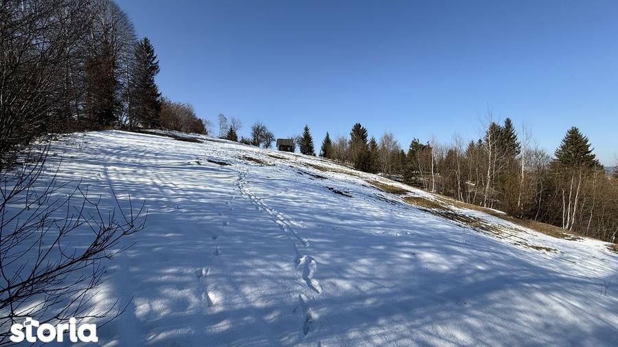 Teren extravilan 2.1 ha Salatruc, Vama - 9