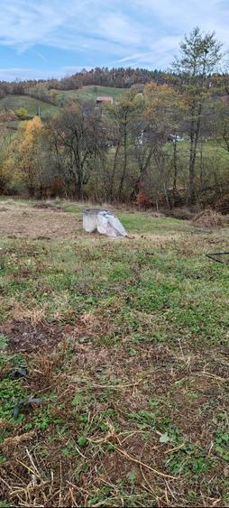 Vand casa batraneasca sat trestia com baita - 10