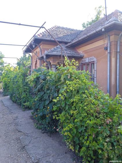 Casa comuna Giubega 45km craiova - 5