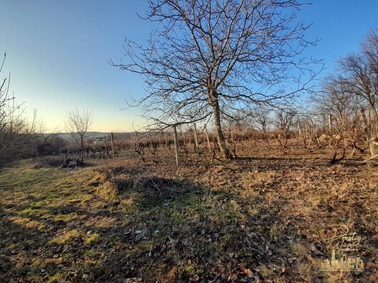 Teren intravilan 6050 mp cu priveliste asupra orasului, str. Gh. Doja - 3