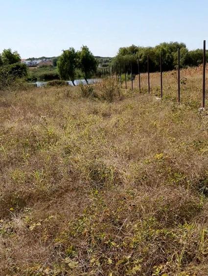 Teren spectaculos cu deschidere directă la lac – Corbeanca - 5