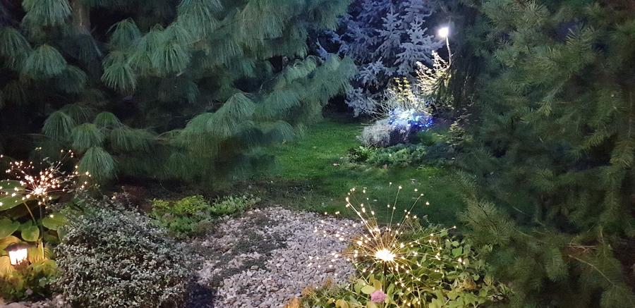 Varasti: Vila individuala cu o curte de 1000 mp ! - 4