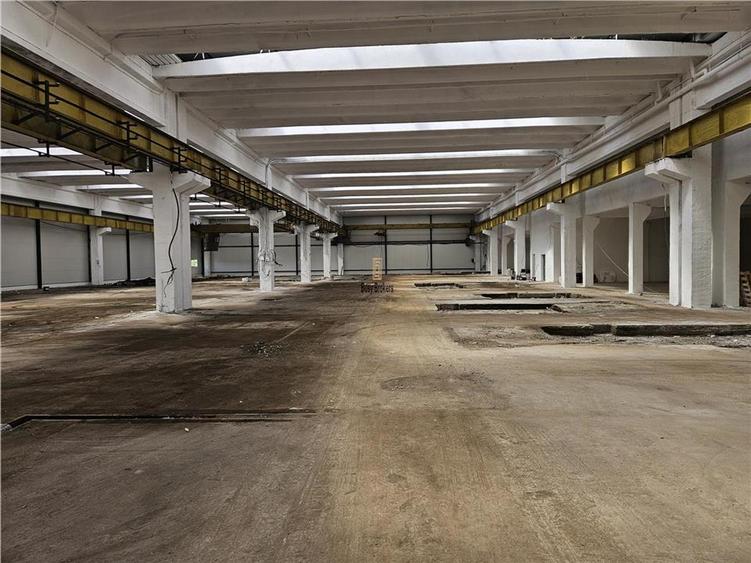 Spatiu Industrial -  6500 mp - Productie - Depozitare - 6