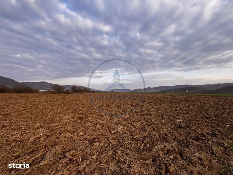 Teren extravilan de vanzare | ?ieu-Magherus | Ideal pentru cabana / r - 1