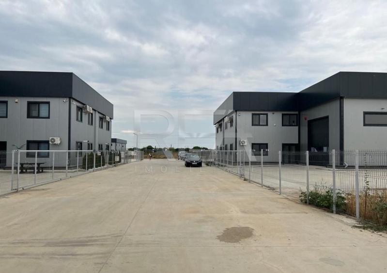 Hala de inchiriat in Domnesti / Centura - 5