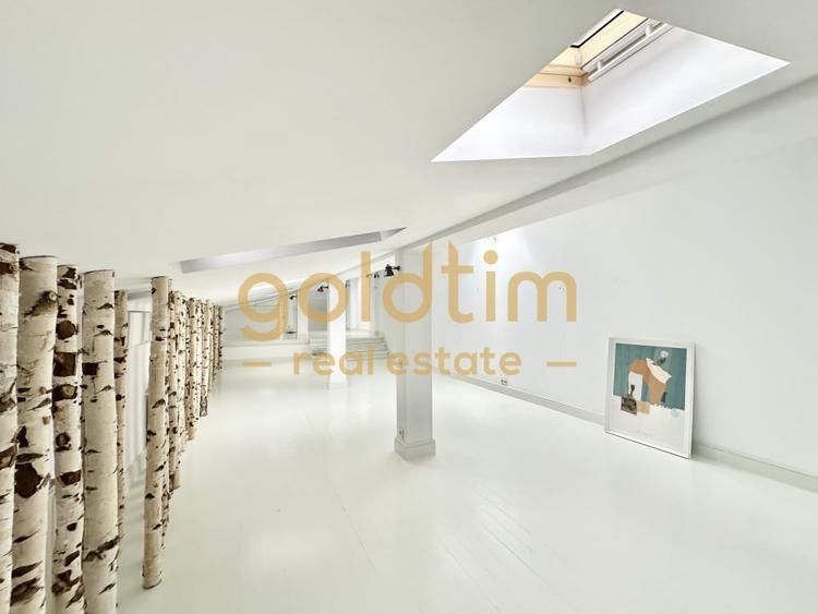 VILA INTERBELICA RENOVATA/CURTE/PRETABILA ACTIVITATI COMERCIALE/DOROBANTI - 3