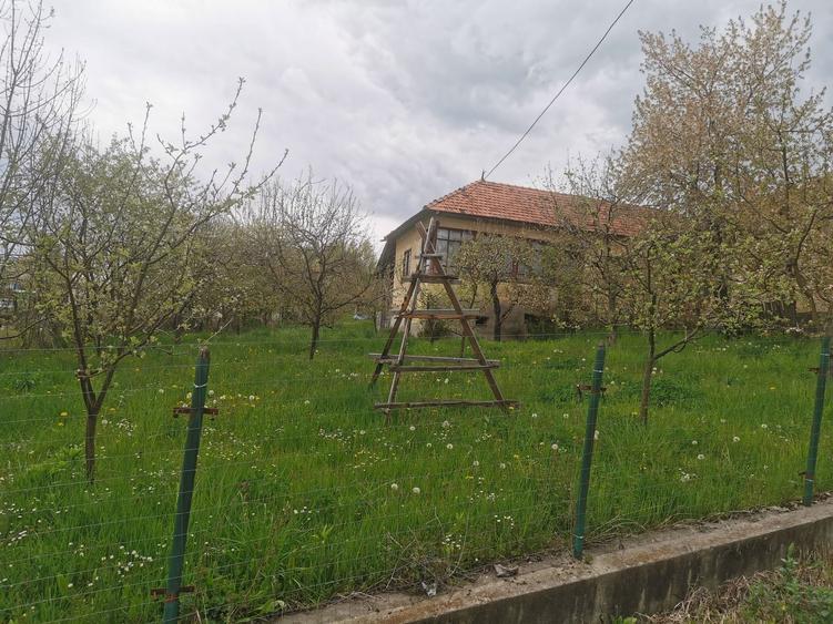 Casa/Teren de vanzare - 1