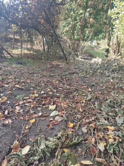 CASĂ DE VÂNZARE 2 CAMERE\ ZĂVOI\ JUD. CARAȘ-SEVERIN - 5