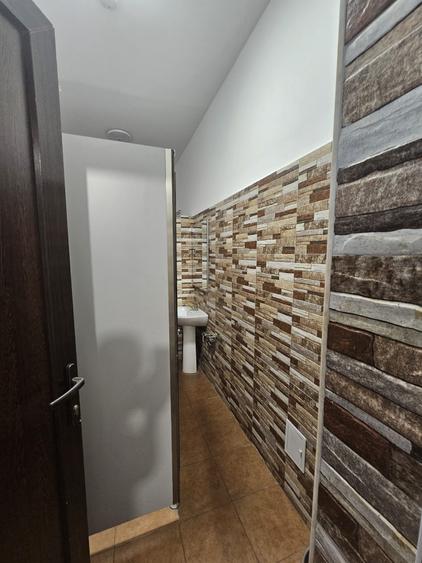 Proprietate speciala Dumbravita - casa individuala !! - 36