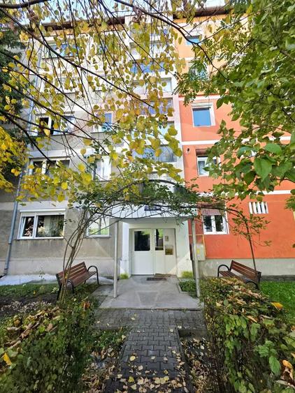 Apartament doua camere Gura Campului Medias - 8