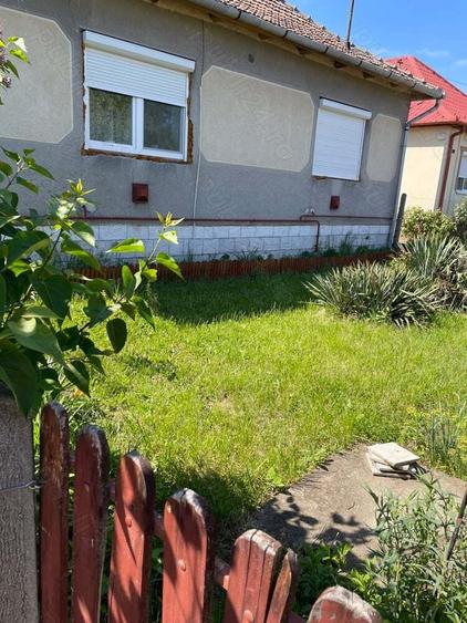 Case Mare de Vanzare cu 3 Camere - 3