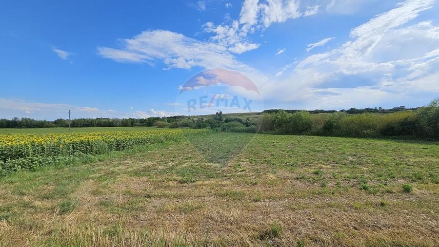 Teren extravilan 12000 mp- Pădureni-Șendriceni, Botoșani - 1