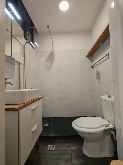 Romana - Magheru apartament spatios renovat si mobilat complet - 8