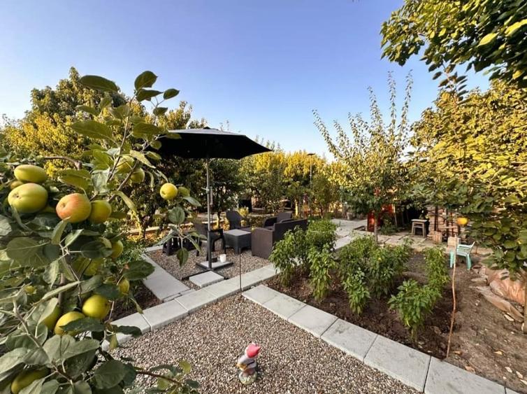 CASA P+2 | PALAZU MARE | CONSTANTA | TEREN 1400 MP - 8