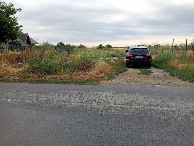 Teren de vanzare Tanganu Cernica - 2