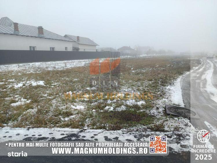 Teren Bradu, 3500 mp, intravilan, drum pe 3 laturi, toate utilitatile - 2