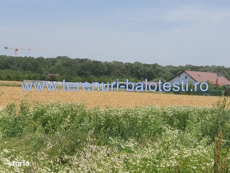 Teren langa padurea Sri Balotesti, 22500 euro - 6